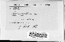 Image of Lachnocladium