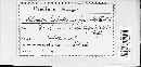 Melampsora euphorbiae image