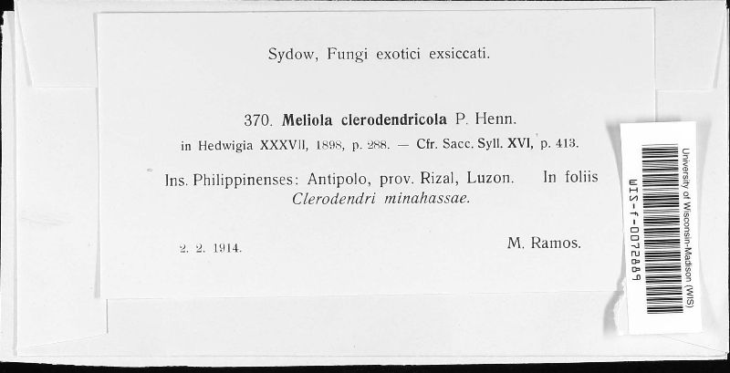 Meliola clerodendricola image
