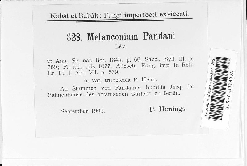 Melanconium pandani image