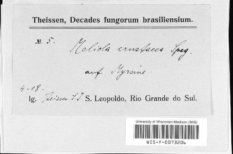 Asteridiella crustacea image