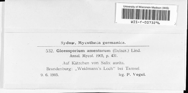 Fusamen image