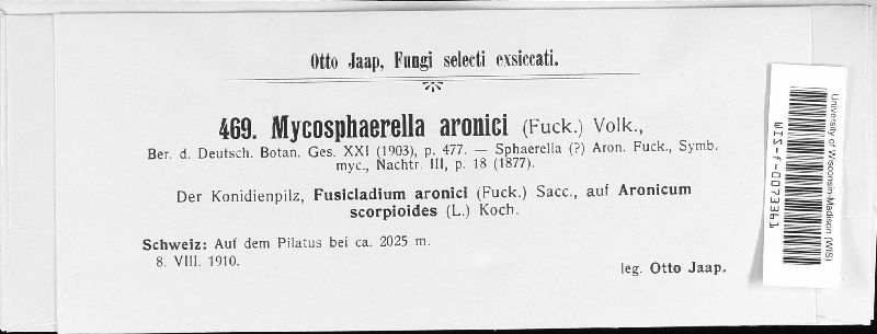 Mycosphaerella aronici image