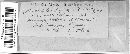 Image of Microdiplodia pyrina