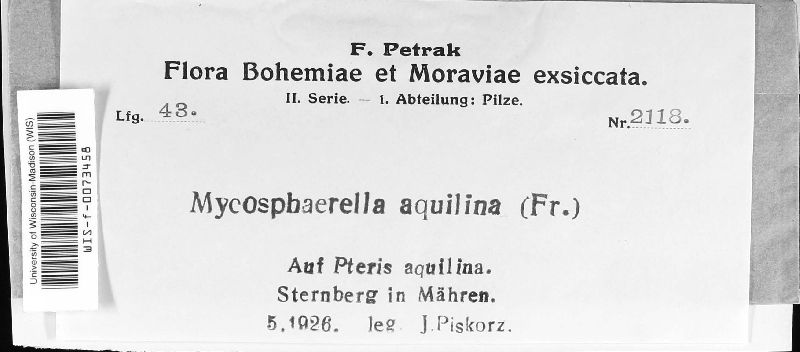 Mycosphaerella aquilina image