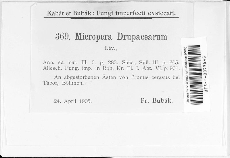 Foveostroma drupacearum image