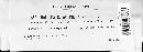 Septobasidium carestianum image