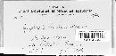 Image of Mycosphaerella hranicensis
