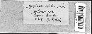 Image of Mycosphaerella vitalbina
