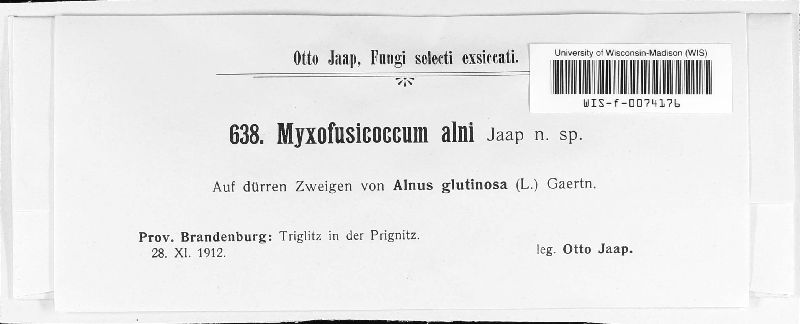 Myxofusicoccum alni image
