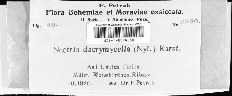 Nectriella image