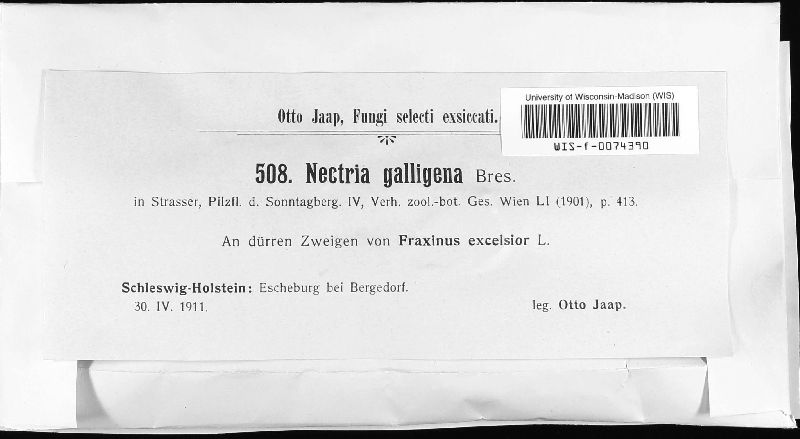 Neonectria ditissima image
