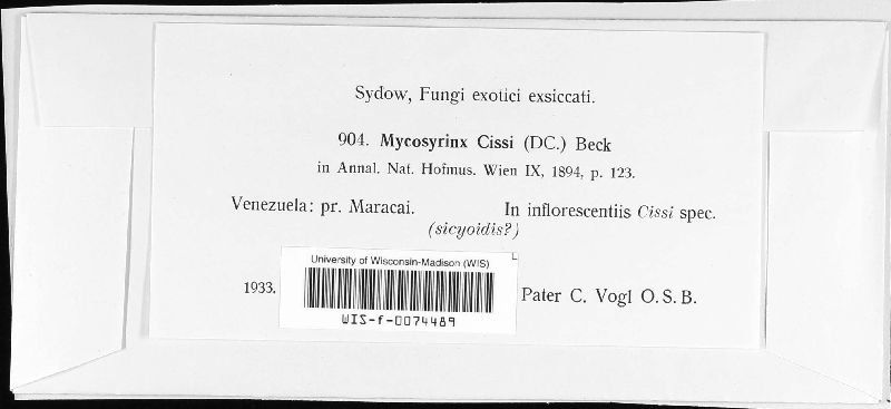 Mycosyrinx cissi image
