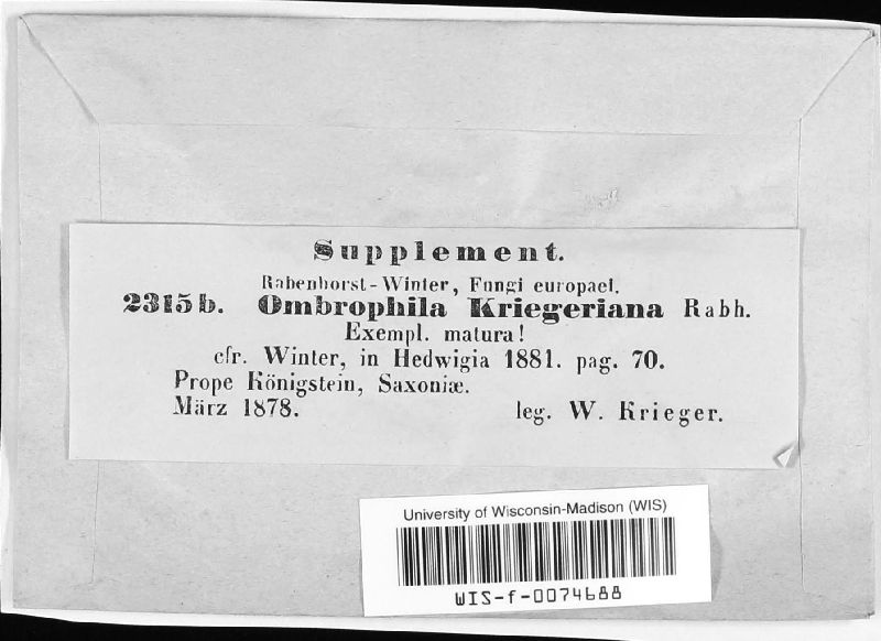 Kriegeria kriegeriana image