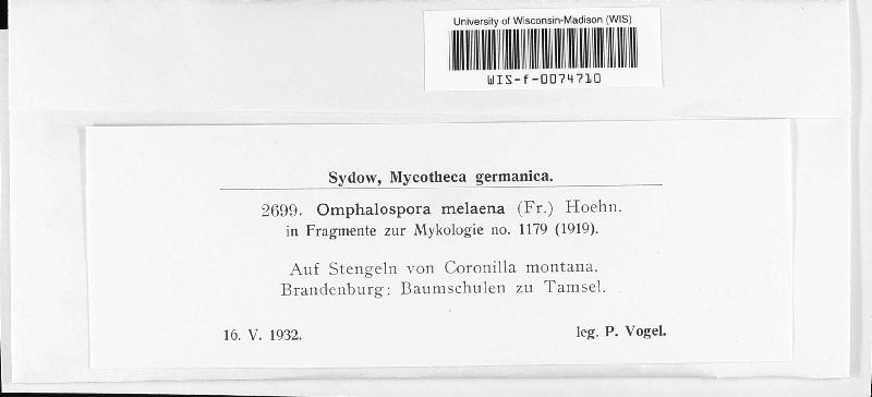 Omphalospora image