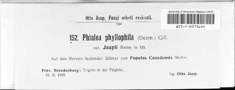 Phialea image