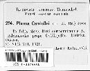 Hyponectria buxi image