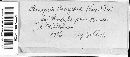 Image of Phomopsis robergeana