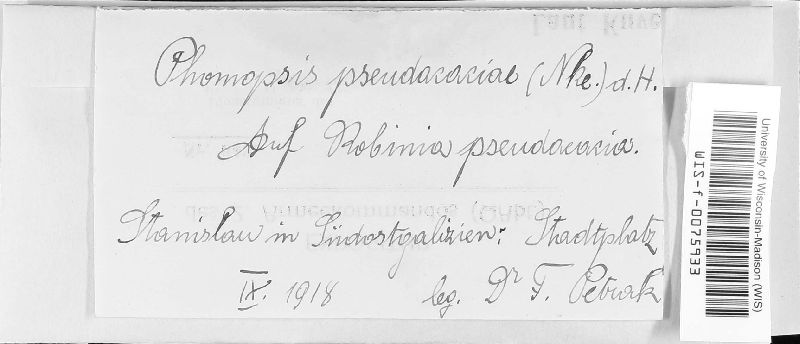 Phomopsis petiolorum image