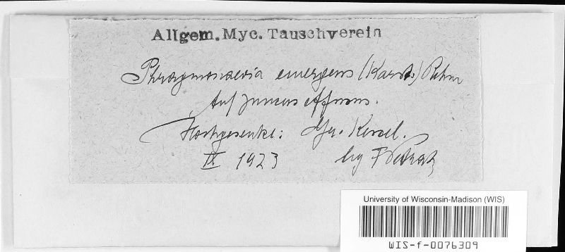 Diplonaevia emergens image