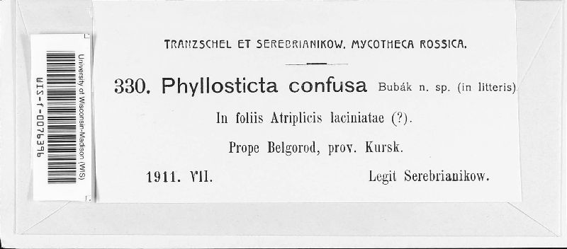 Asteromella confusa image