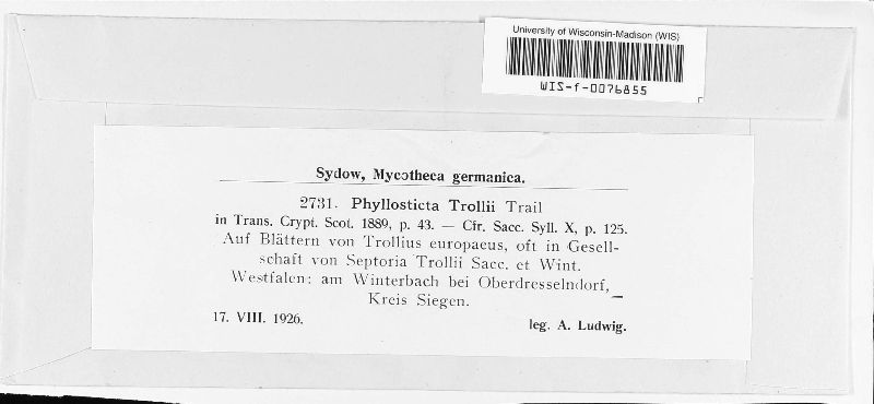 Phyllosticta trollii image