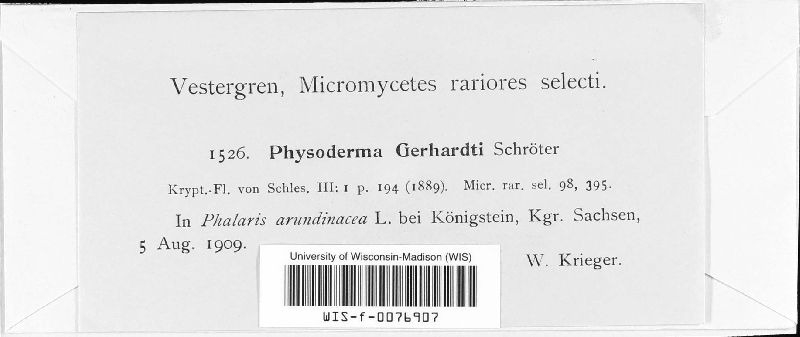 Physodermataceae image