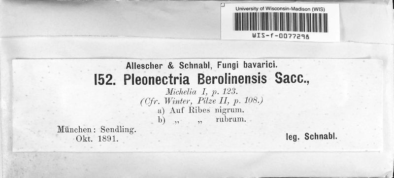 Pleonectria berolinensis image