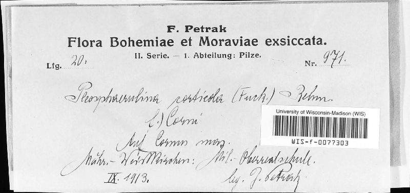 Pleosphaerulina image