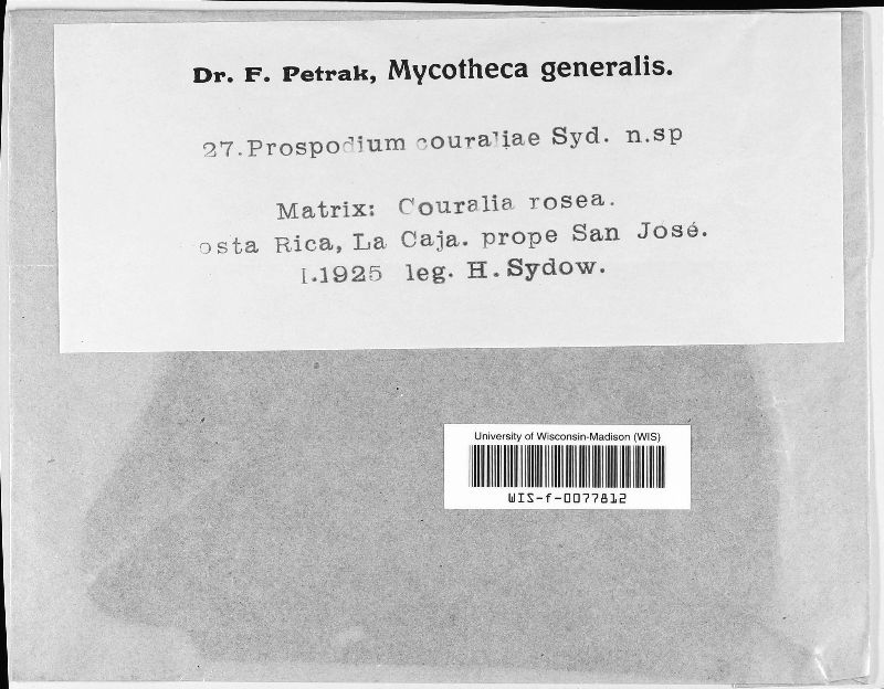 Prospodium couraliae image