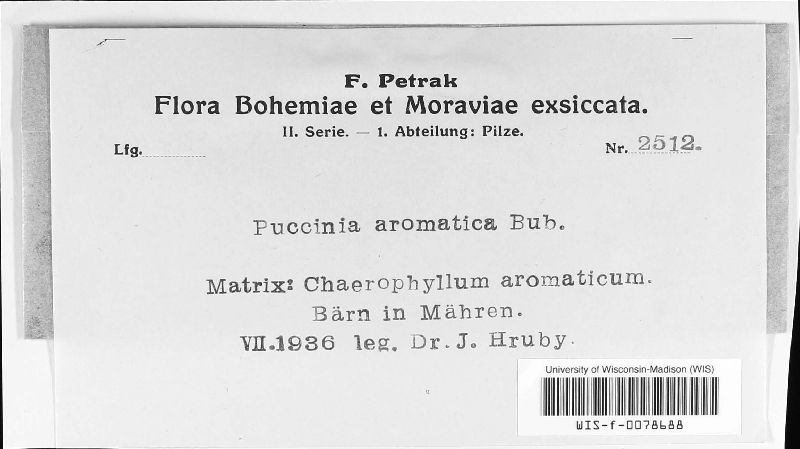 Puccinia aromatica image