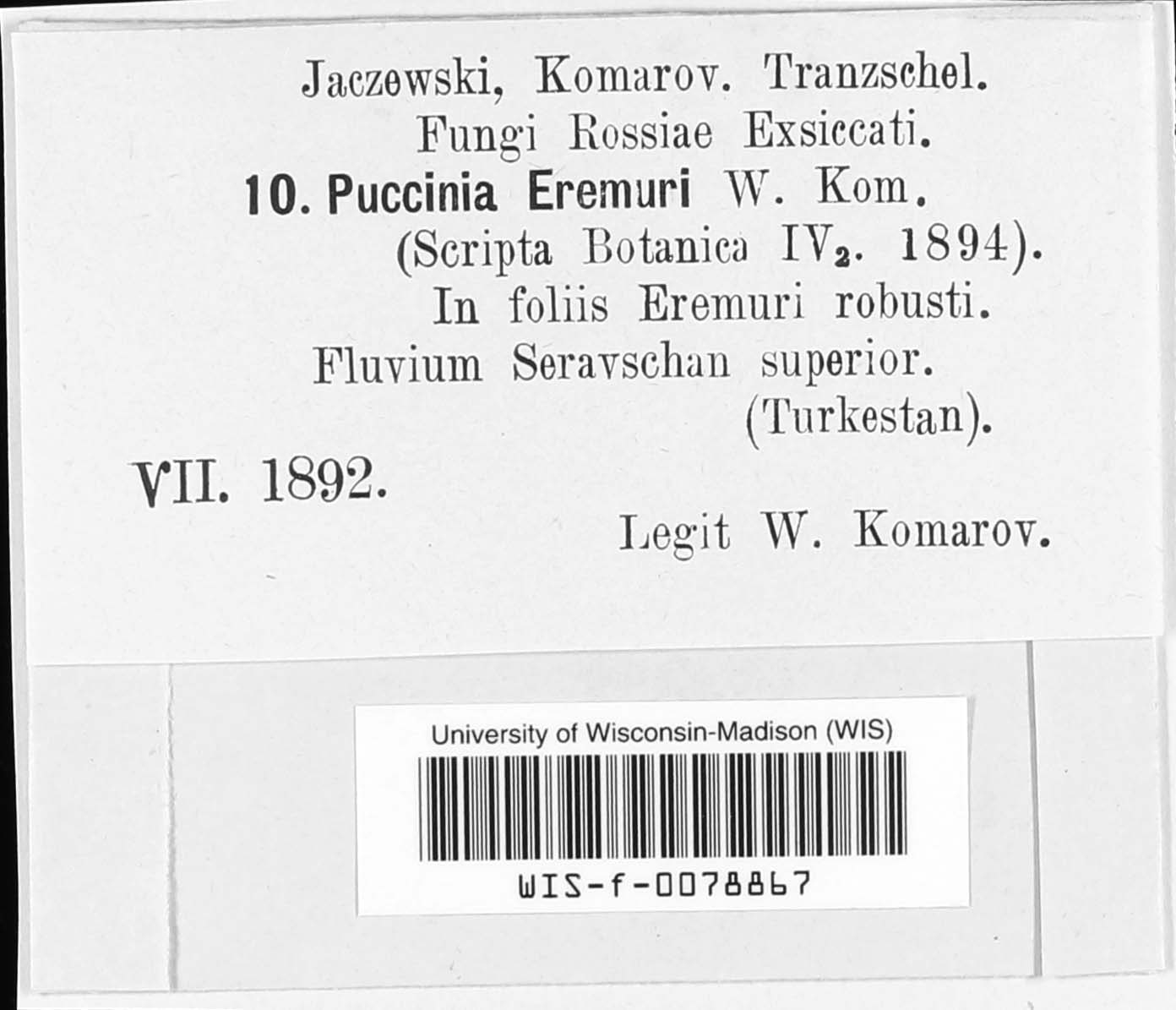 Puccinia eremuri image