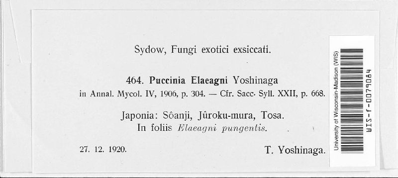 Puccinia elaeagni image