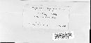 Puccinia graminis image