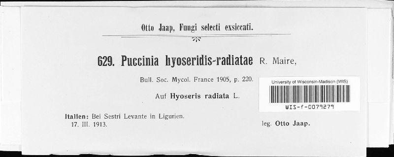 Puccinia hyoseridis-radiatae image