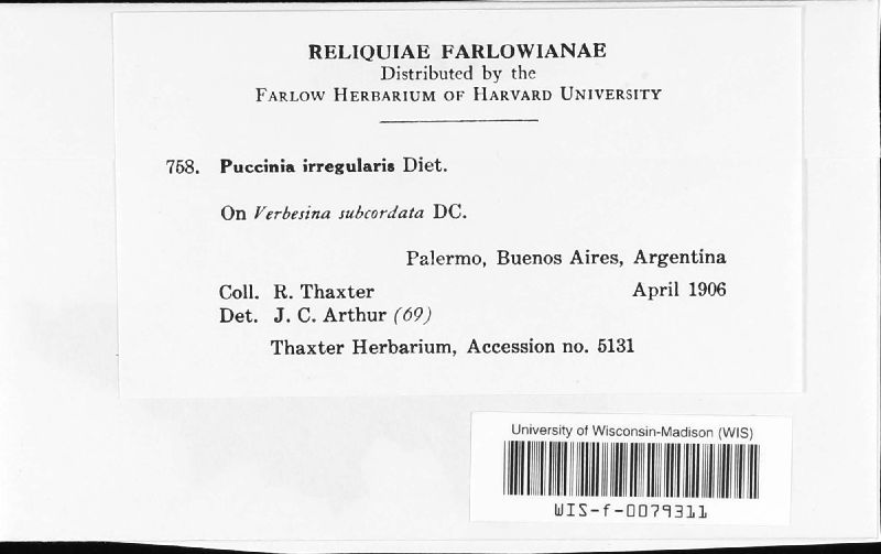 Puccinia irregularis image