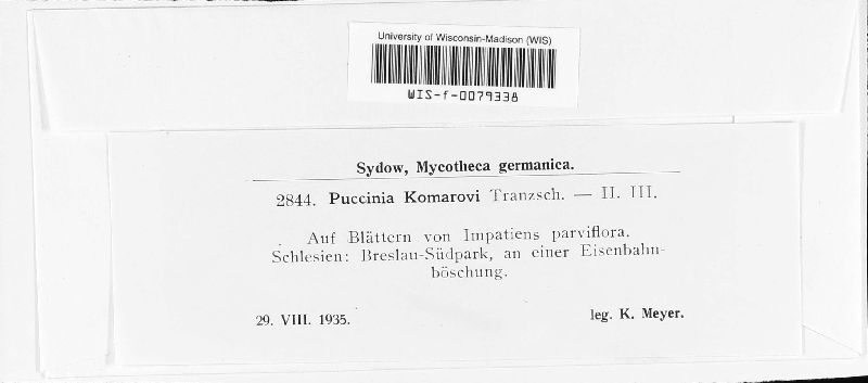Puccinia komarovii image