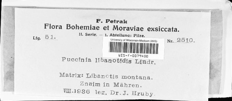 Puccinia libanotidis image