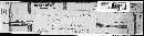Puccinia recondita image