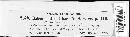 Hercospora tiliae image