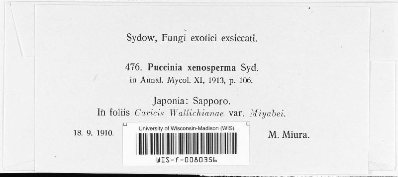 Puccinia xenosperma image