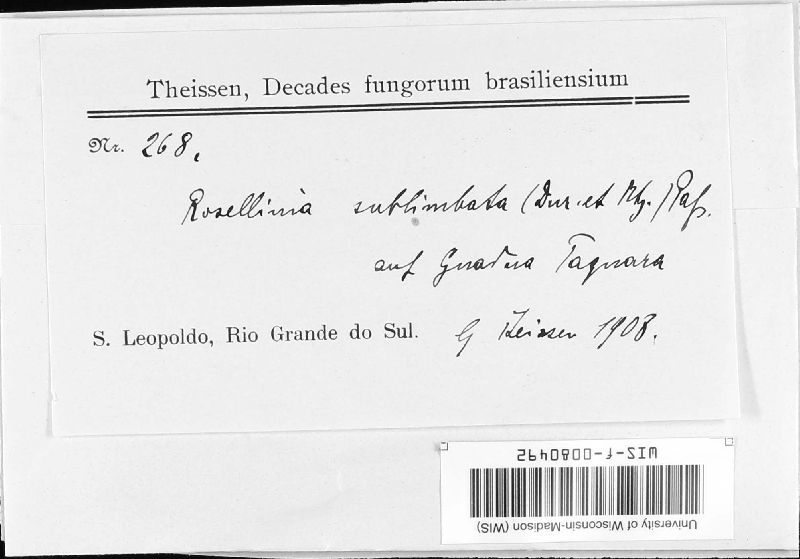 Hypoxylon sublimbatum image