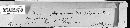 Puccinia recondita image