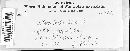Hercospora tiliae image