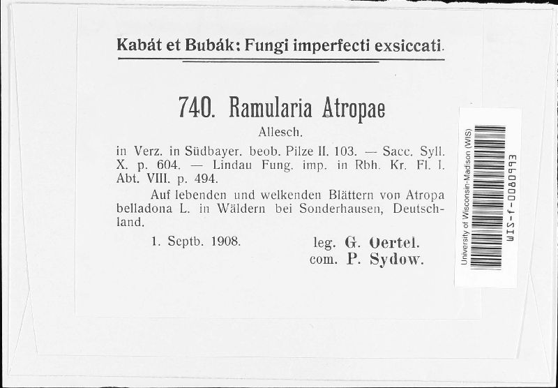 Ramularia atropae image