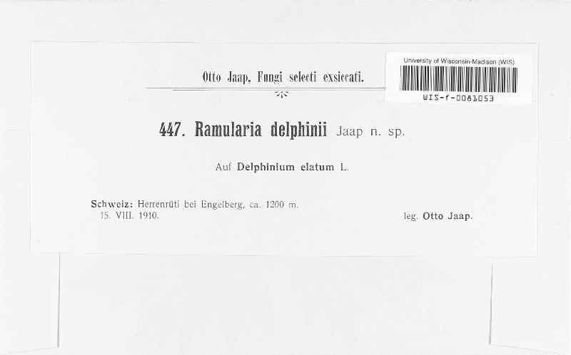 Ramularia delphinii image