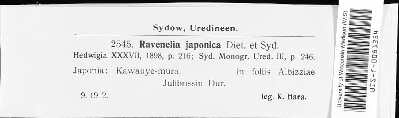 Ravenelia japonica image