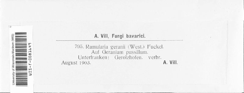 Ramularia geranii image