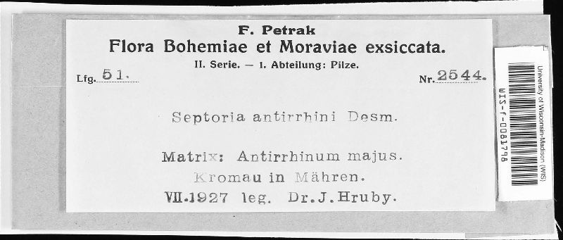 Septoria antirrhini image