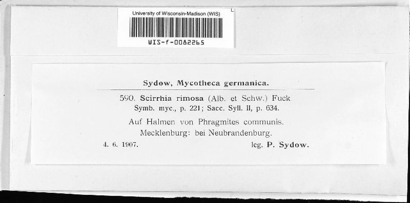 Scirrhia rimosa image